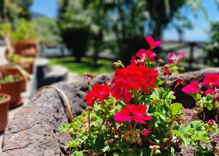 Дом отдыха Casa Da Laranja By Lovelystay Рибейра-Брава