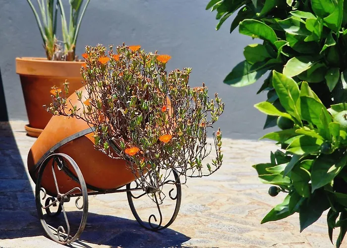 Casa Da Laranja By Lovelystay