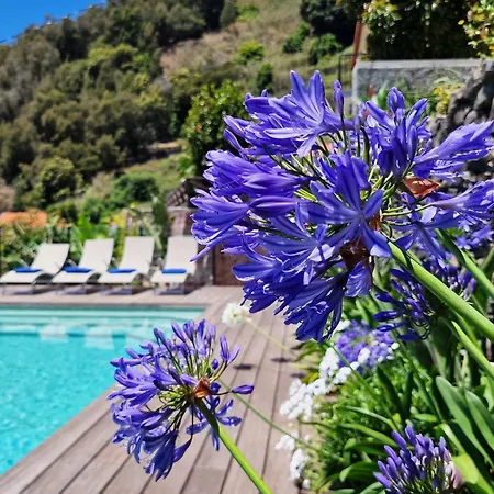 Casa Da Laranja By Lovelystay 度假居 *